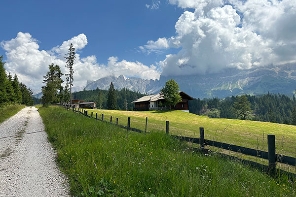 Wanderung zur Hagner Alm oder zum Jocherhof