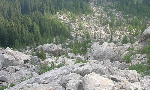 Labyrinthsteig