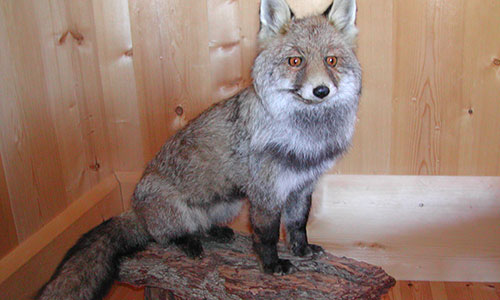 Naturmuseum Südtirol