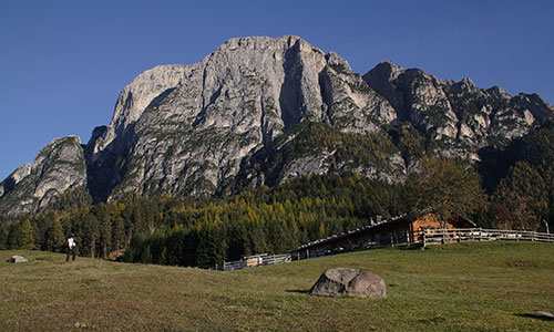 Tuffalm