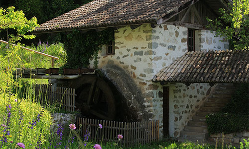 Alte Wassermühle